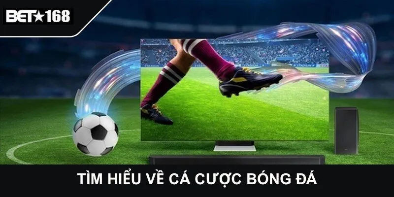 Tìm hiểu về cá cược bóng đá